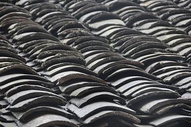 3A科幻动作冒险游戏《EXODUS》世界观视频“绿色世界”发布