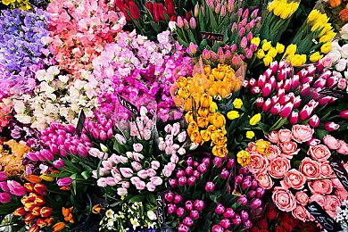 玩家质疑《勇者斗恶龙3重制版》画面不及格 两方意见交锋